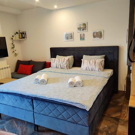 Kala Apartment Novi Sad Esterno foto